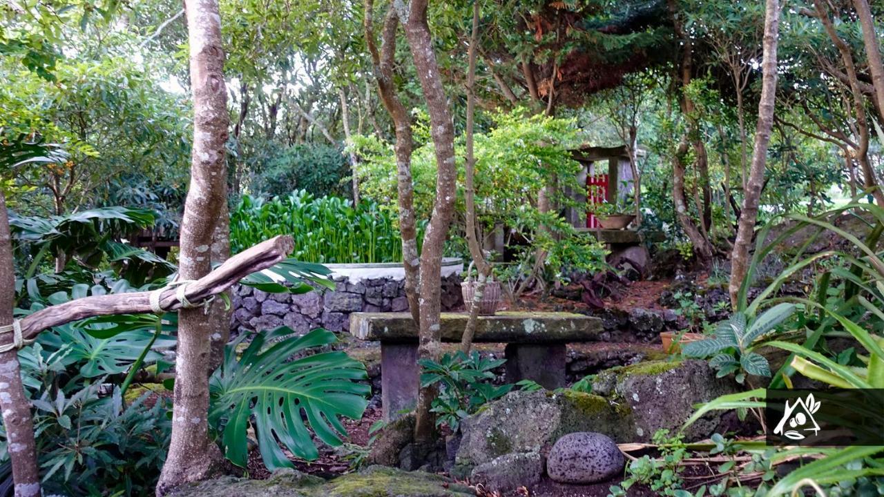 Quinta Do Paraiso Porto Martins Zewnętrze zdjęcie
