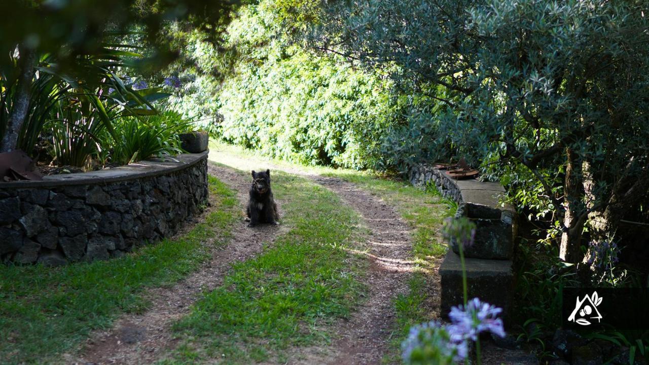 Quinta Do Paraiso Porto Martins Zewnętrze zdjęcie